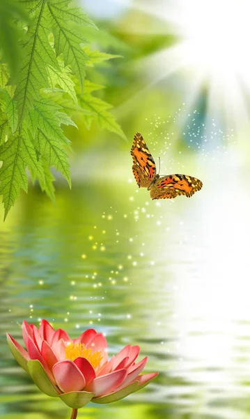 Flor y mariposa sobre el agua — Foto de Stock
