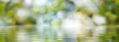 görüntü arka plan bulanık su