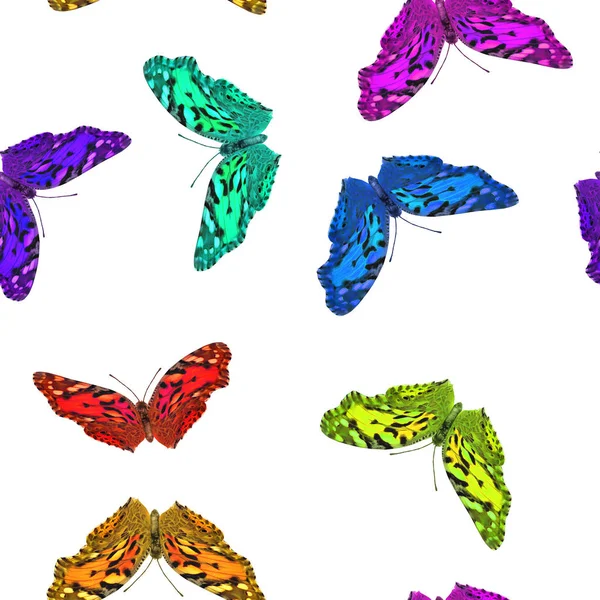 Isolated image of beautiful multicolored butterflies close up. — Stock Photo, Image