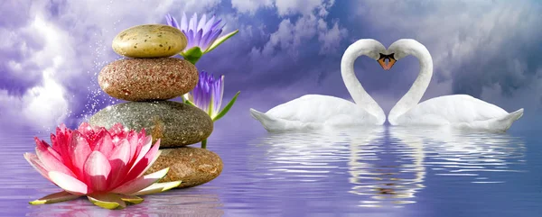 Imagen de flor de loto, piedras y cisnes en el parque de cerca — Foto de Stock