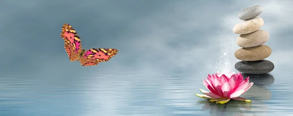 莲花，石头，蝴蝶水背景 — 图库照片