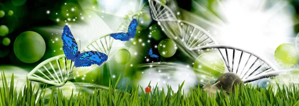 Абстрактні молекули ДНК разом з метеликом, сонечком . — стокове фото