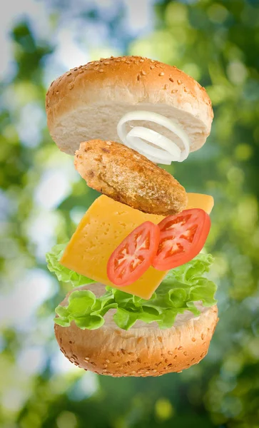 Imagen aislada de un sándwich — Foto de Stock