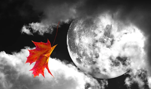 Closeup Image Autumn Leaf Moon Background — Stock Photo, Image