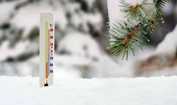 Thermometer op sneeuw en Spar tak achtergrond — Stockfoto