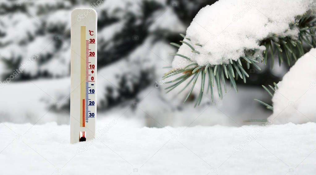 thermometer on snow and fir branch background