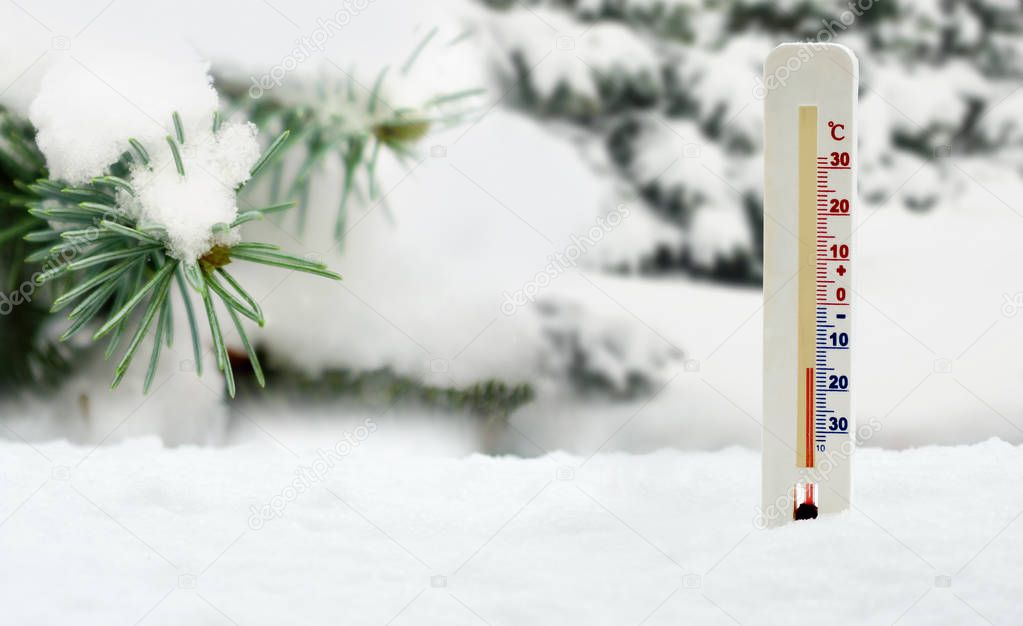 thermometer on snow and fir branch background