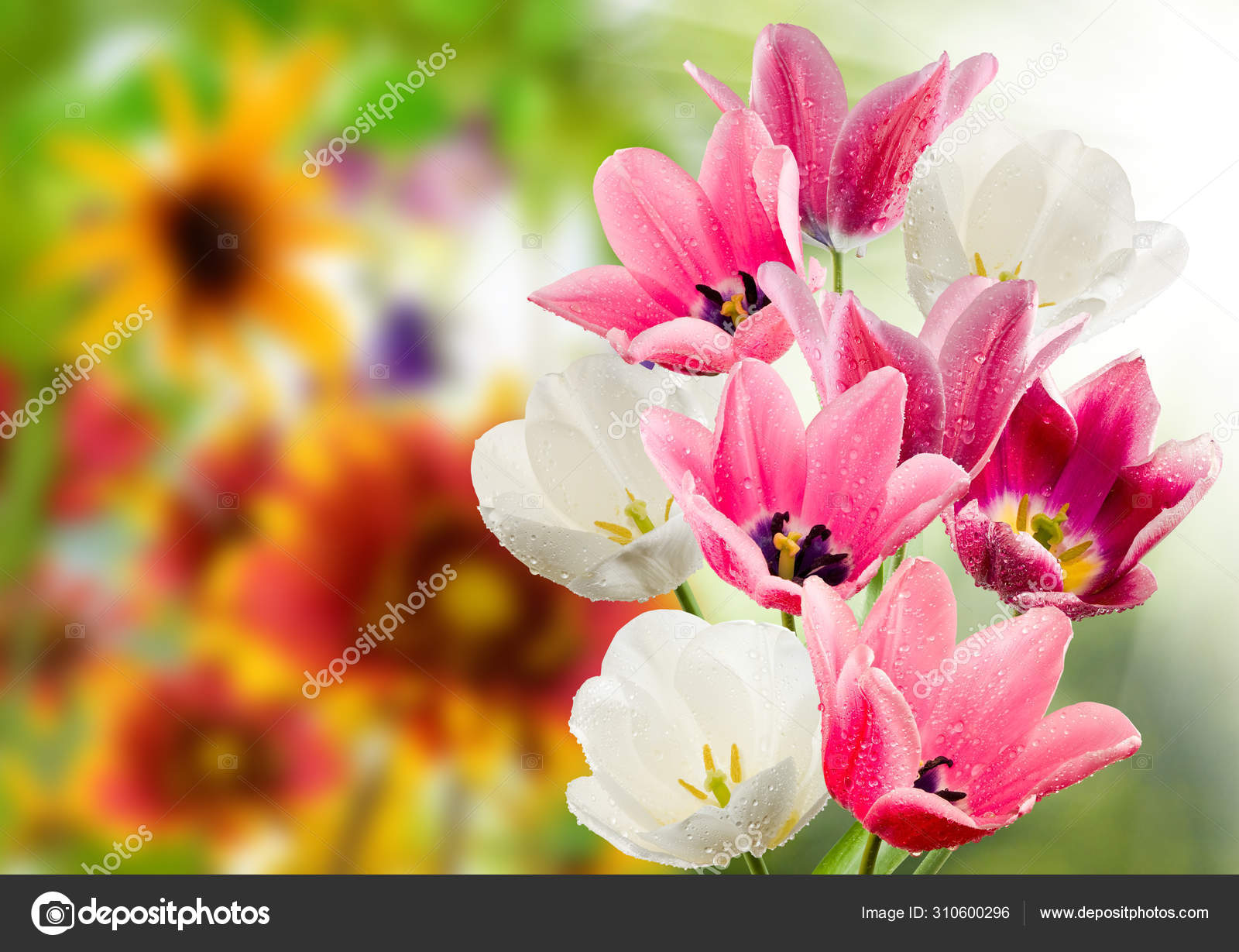 Muchas flores fotos de stock, imágenes de Muchas flores sin royalties | Depositphotos Muchas flores fotos de stock, imágenes de Muchas flores sin royalties | Depositphotos