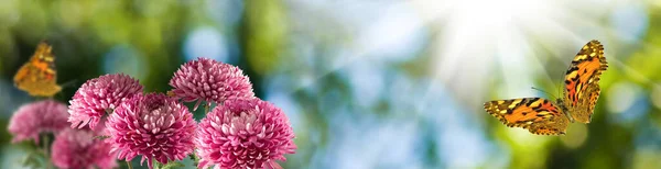 Imagen Cerca Flores Una Mariposa Voladora — Foto de Stock