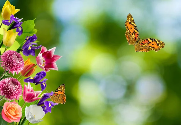 Imagen Cerca Flores Una Mariposa Voladora — Foto de Stock