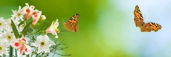 Close Afbeelding Van Bloemen Een Vliegende Vlinder — Stockfoto