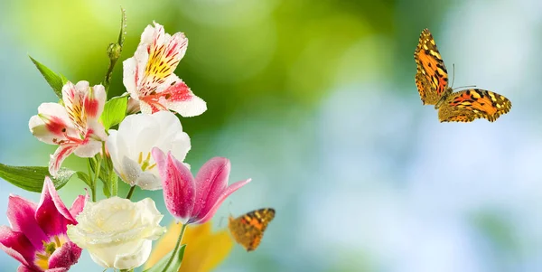 Immagine Ravvicinata Fiori Una Farfalla Volante — Foto Stock