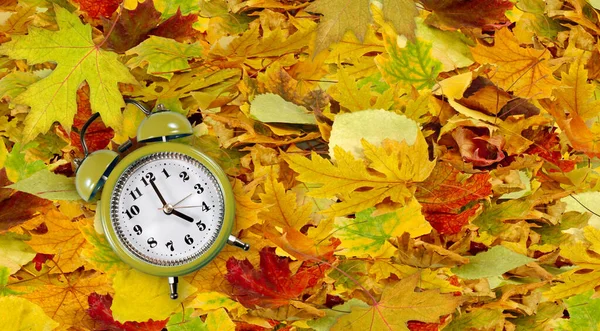 Egy ébresztőóra képe az őszi leveleken. Szezonkoncepció — Stock Fotó
