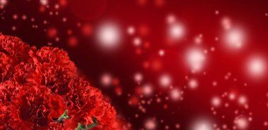 Bulanık kırmızı arkaplanda çiçeklerin yakın plan görüntüsü
