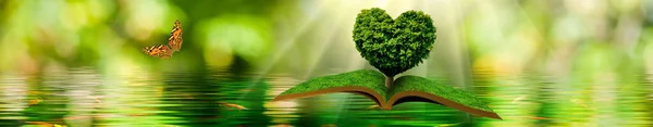 Image Flying Open Book Butterfly Tree Form Stylized Heart Book — Stock Photo, Image