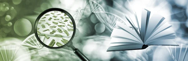 Açık bir kitabın resmi, bir büyüteç ve alfabenin dağınık harfleri stilize DNA zincirlerinin arka planına karşı. 3d illüstrasyon