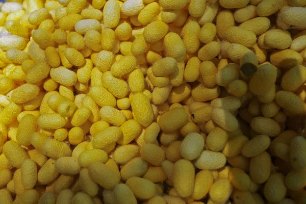 İpekböceği arka plan beyaz doğa kumaş