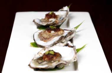 İstiridye kabuğu yarım istiridye deniz ürünleri taze