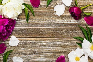 Metin kart kavramı için peonies arka plan. Seçici odak.