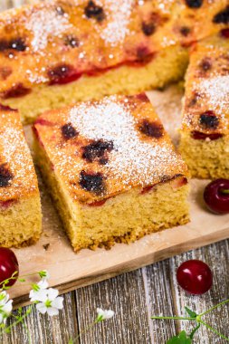 Pudra şekeri ile tart kiraz kek. Seçici odak.