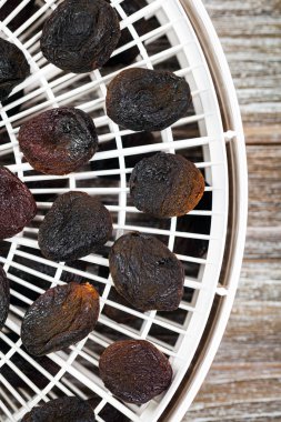 Organik Kuru Kayısı Dehydrator ile yaptı. Seçici odak.