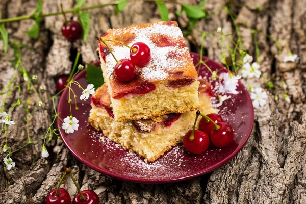 Pudra şekeri ile tart kiraz kek. Seçici odak.