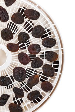 Organik Kuru Kayısı Dehydrator ile yaptı. Seçici odak.