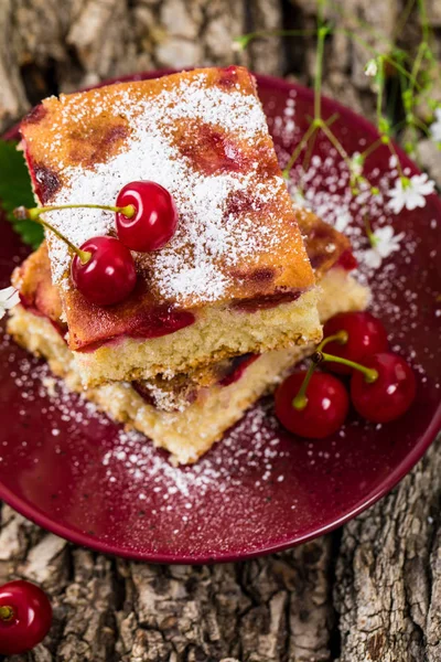 Yaz pudra şekeri ile Tart kiraz kek. Seçici odak.