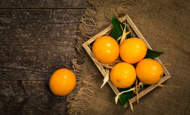 Limon portakal. Meyer limon hibrid Narenciye meyve yerli Çin'e. Seçici odak.