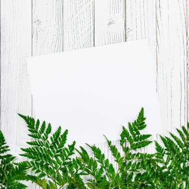 Yeşil Eğreltiotu Yaprakları ya da Beyaz Vintage Tahta Arkaplanda Kağıt Yapraklı Deri Yaprak. Anneler Günü için tasarım konsepti, fotokopi odasıyla düğün ve sevgililer günü. Seçici odak.