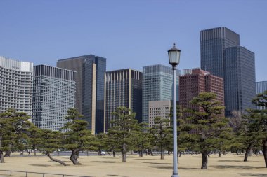 Tokyo şehir merkezinde binalar