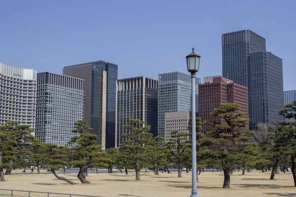 Tokyo şehir merkezinde binalar