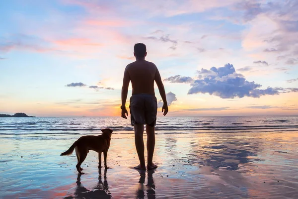 Σιλουέτα Του Ανθρώπου Τον Σκύλο Στην Παραλία Μαζί Τους Φίλους — Φωτογραφία Αρχείου