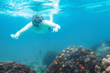 sualtı, etkin seyahatleri, snorkeler izlerken mercan ve denizde balık şnorkel