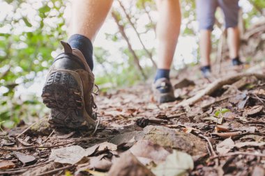 jungle trekking, group of hikers backpackers walking together outdoors in the forest, close up of feet, hiking shoes clipart