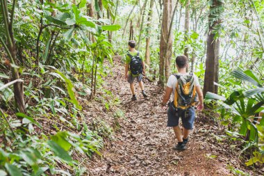hiking, sırt çantaları, trekking, orman ormanda yürüyüş turist backpackers grup ile insanlar