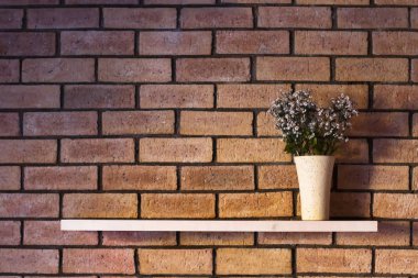 basit iç tasarım, saksıyı boşaltmak ile tuğla duvar raf