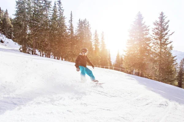 滑雪板在冬季阿尔卑斯山 人在森林斜坡与背光的滑雪板上的速度快 — 图库照片