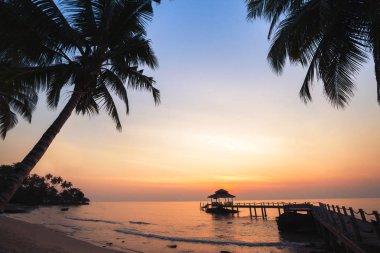 Tropikal plaj arka plan, palmiye ağaçları, tatil siluetleri ile güzel günbatımı manzara