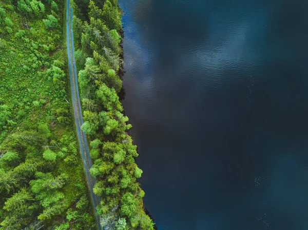 空中自然背景 道路的顶视图和美丽的纹理的水和森林 — 图库照片