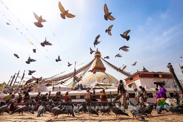 Kathmandu Nepal Febrero 2014 Aves Volando Personas Rezando Caminando Alrededor —  Fotos de Stock