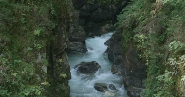 Small Creek Flows Rocks Mountain — Stock Video