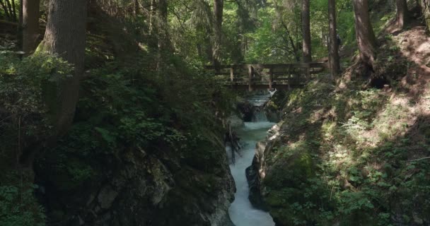 Arroyo Montaña Que Fluye Través Bosques Los Alpes Italianos — Vídeo de stock