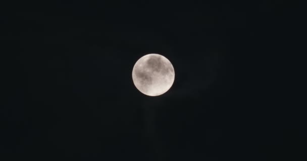 Luna Piena Nella Notte Buia — Video Stock