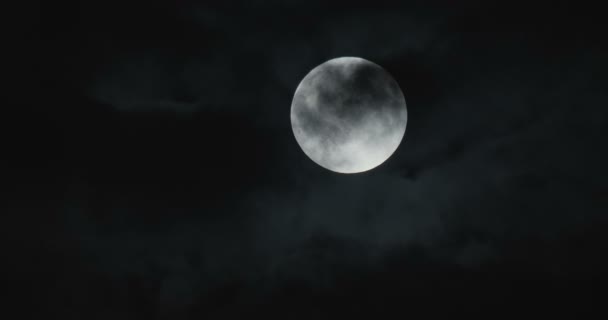 Luna Piena Nella Notte Buia — Video Stock