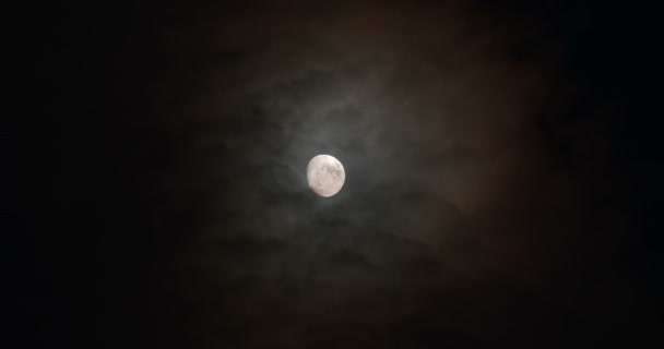 Luna Plină Noaptea Întunecată — Videoclip de stoc