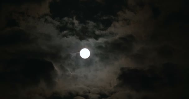 Pleine Lune Dans Nuit Noire — Video