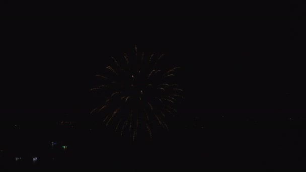 Program Fireworks Display noc — Wideo stockowe