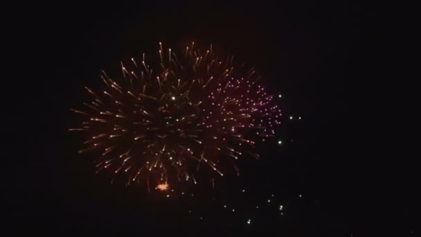 Fireworks Display nacht — Stockvideo