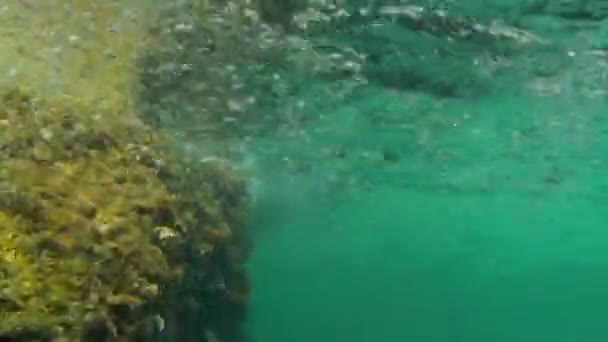 Vue Sous Marine Des Vagues Qui Écrasent Sur Fond Marin — Video